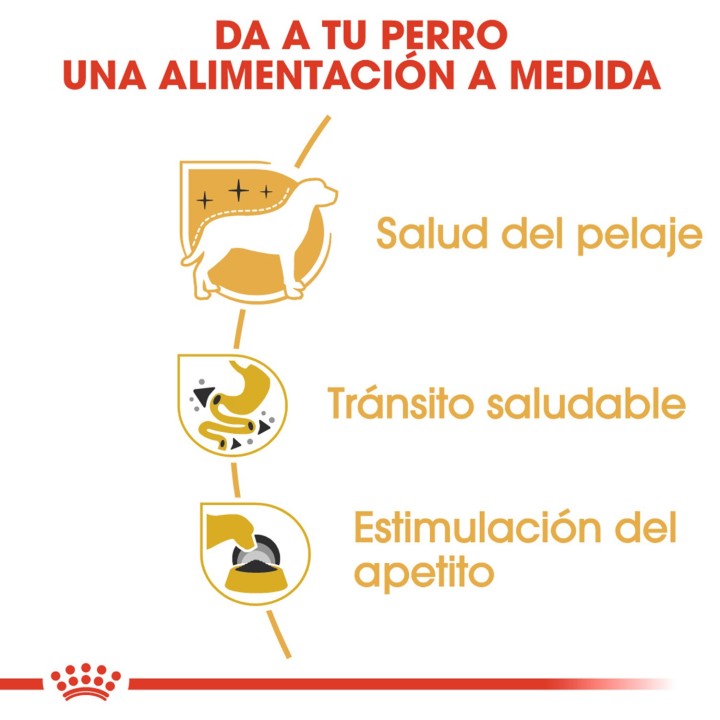 Pouch Royal Canin Chihuahua
