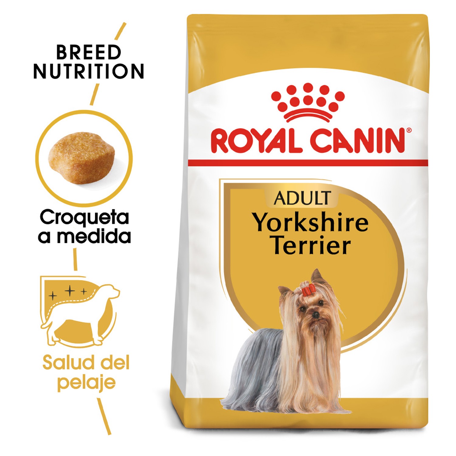 Pienso yorkshire terrier