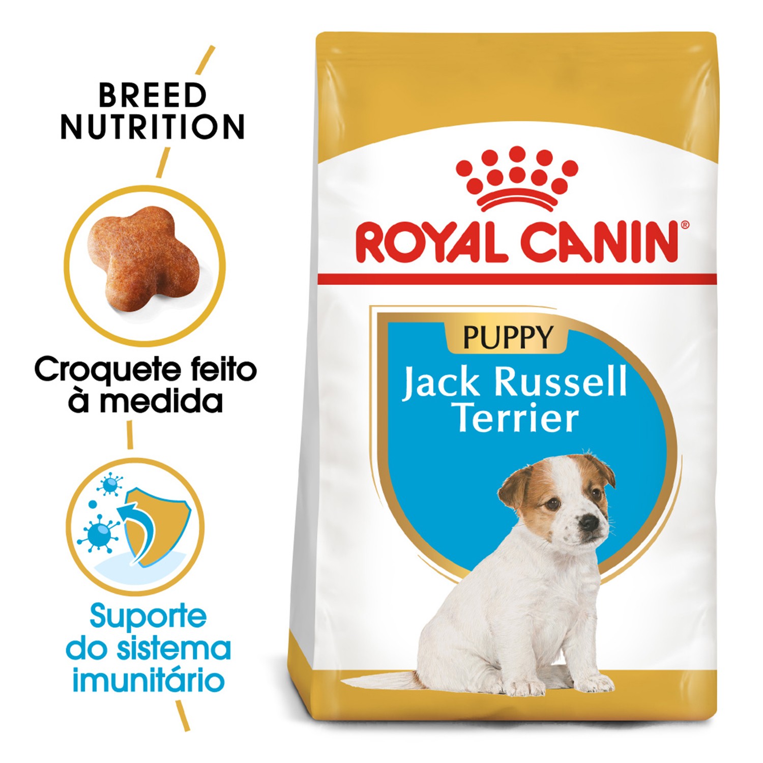 Pienso jack russell