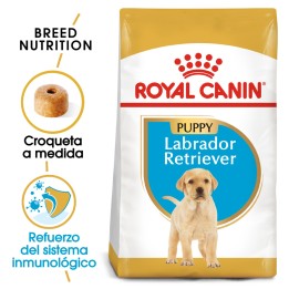 Royal Canin Labrador Puppy pienso para cachorros  - Kompymascotas