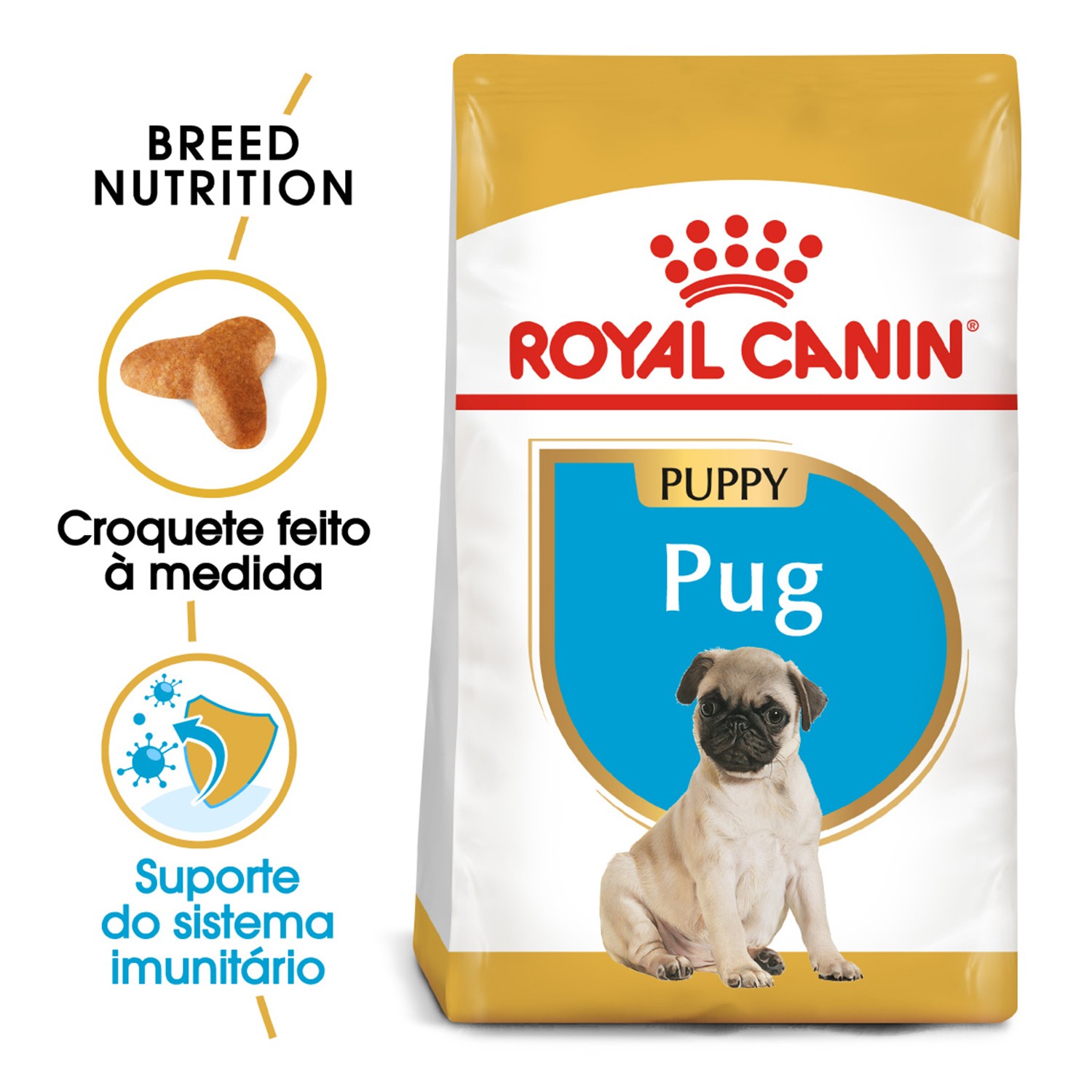 Pienso pug carlino