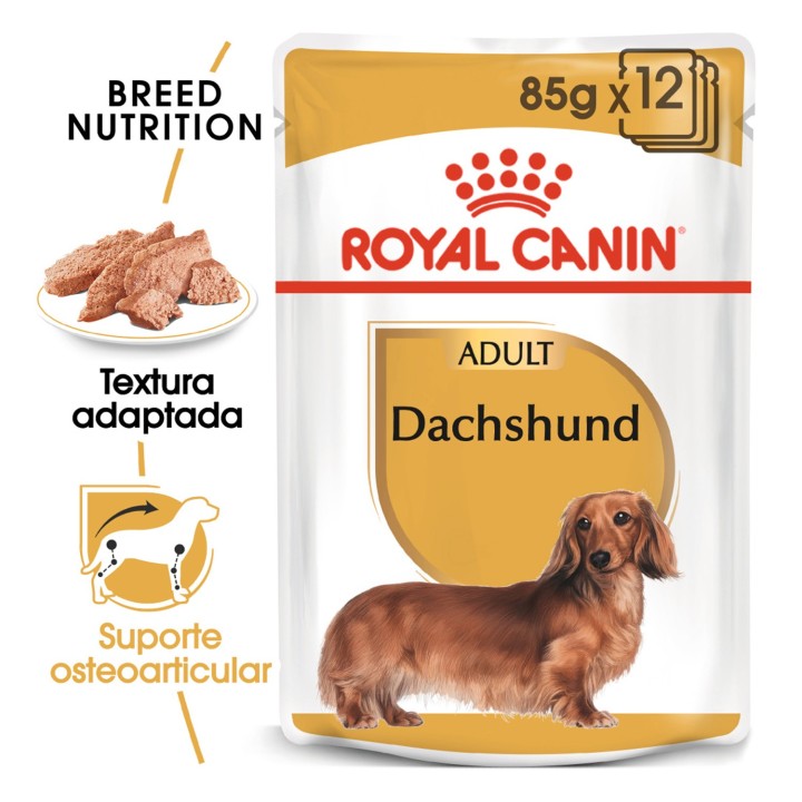 Royal Canin Dachshund comida húmeda para teckel adulto  - Kompymascotas