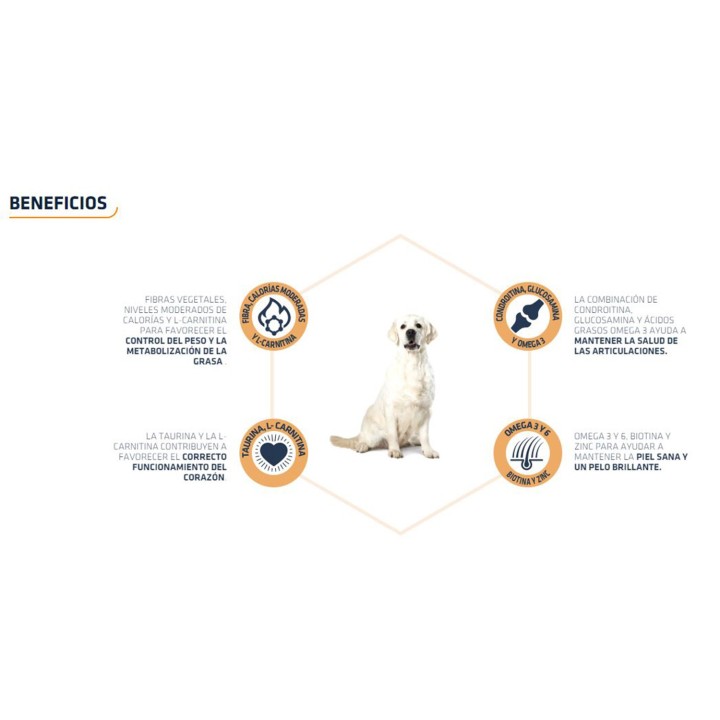 Advance Labrador Pienso para perros - Kompymascotas
