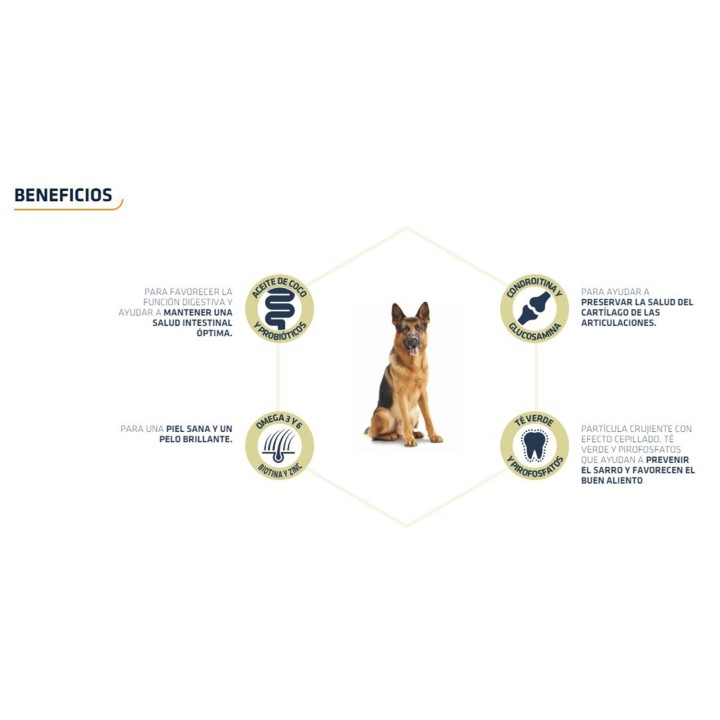 Advance German Shepherd Pienso para perros - Kompymascotas
