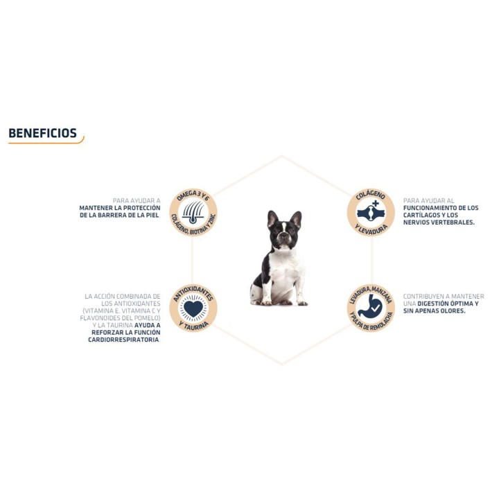Advance French Bulldog Pienso para perros - Kompymascotas