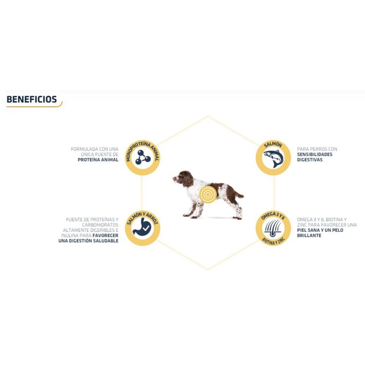 Advance Sensitive Salmon & Rice Pienso para perros - Kompymascotas