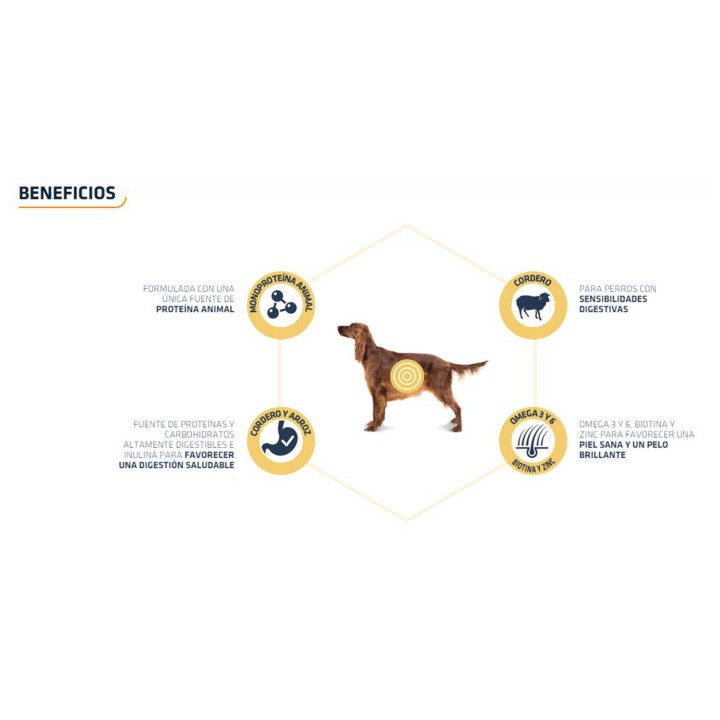 Advance All Breeds Adult Lamb & Rice Pienso para perros - Kompymascotas