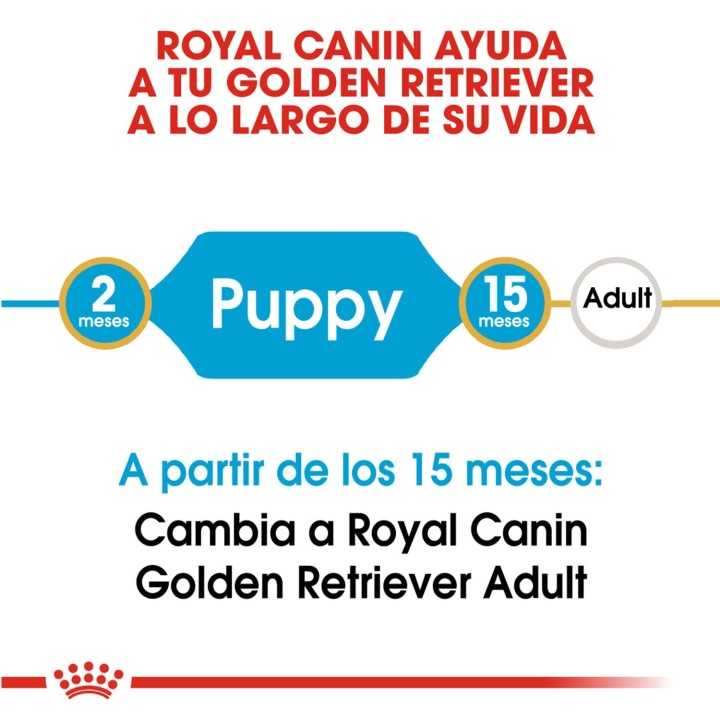 Royal Canin Golden Retriever Puppy