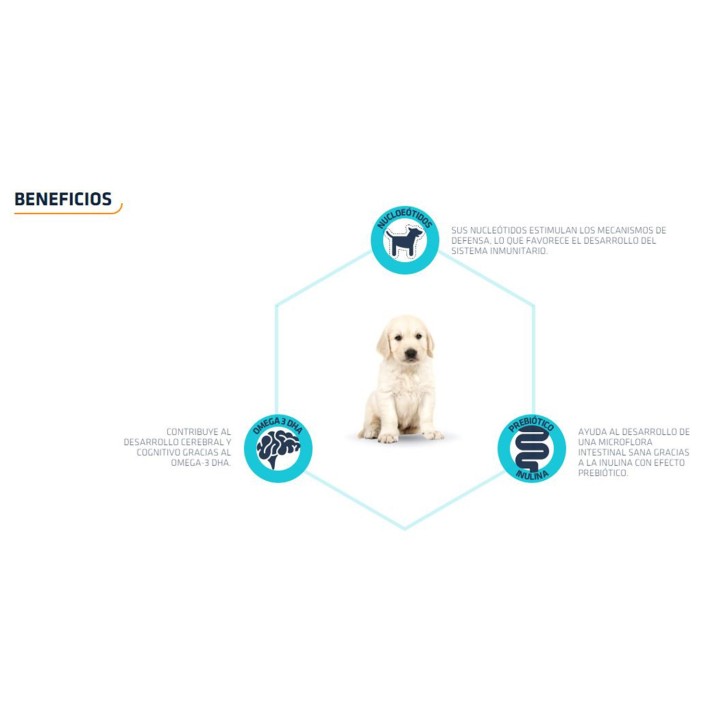 Advance Puppy Snack, Galletas para cachorro - Kompymascotas