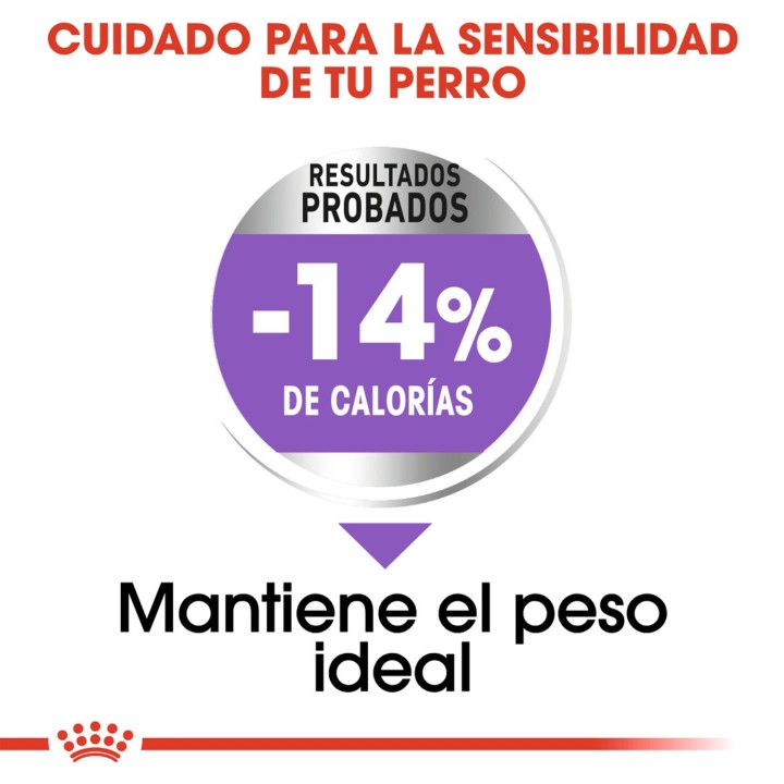 Royal Canin Mini Sterilised