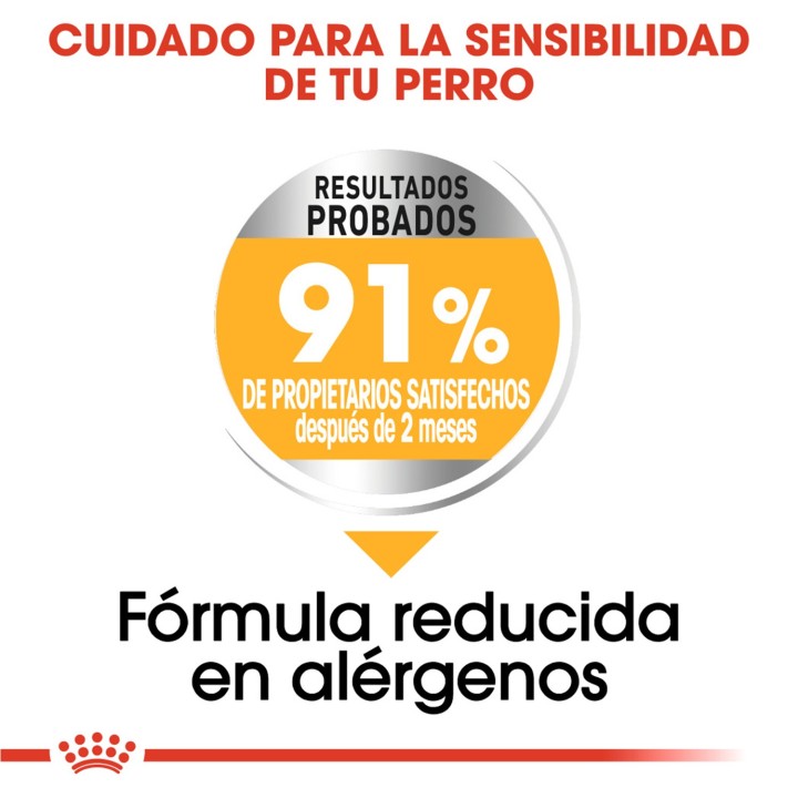 Royal Canin Medium Dermacomfort