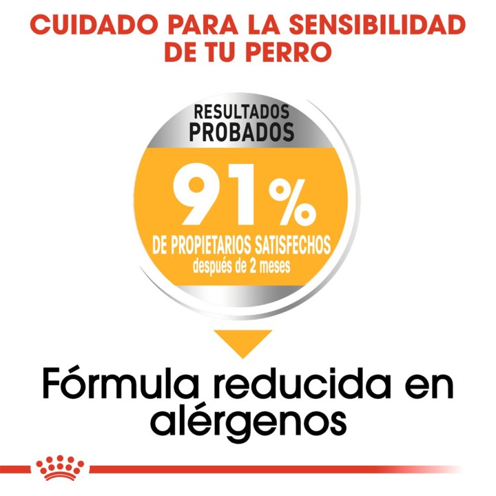 Royal Canin Maxi Dermacomfort Pienso para perros - Kompymascotas