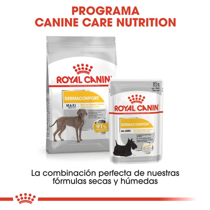 Royal Canin Maxi Dermacomfort Pienso para perros - Kompymascotas
