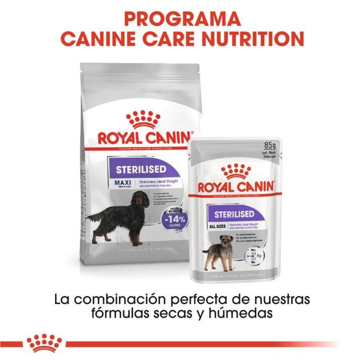 Royal Canin Maxi Sterilised