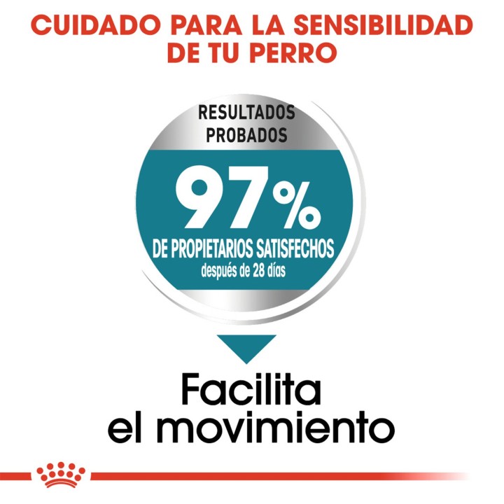 Royal Canin Maxi Joint Care