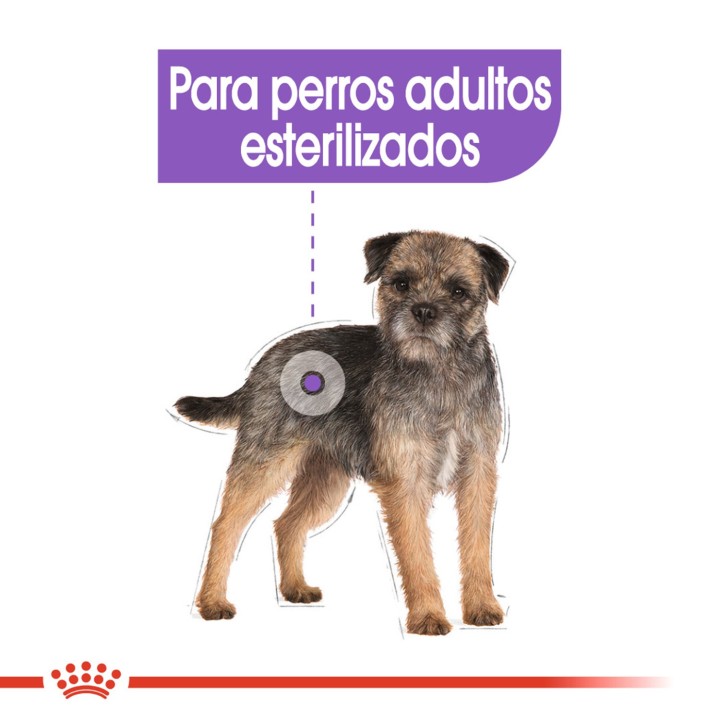comida húmeda Royal Canin Light Sterilized Pouch