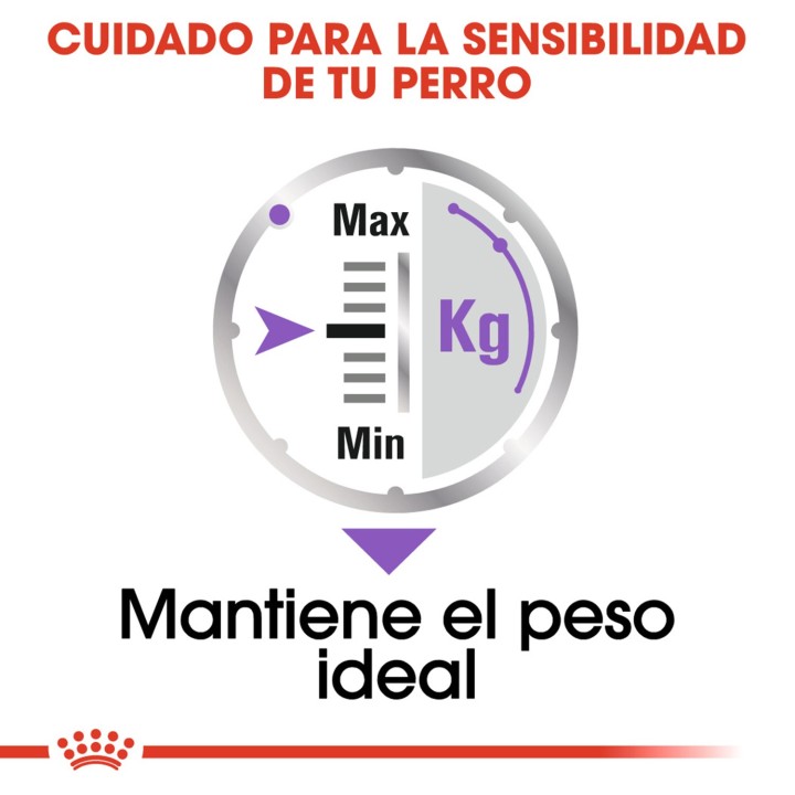 comida húmeda Royal Canin Light Sterilized Pouch