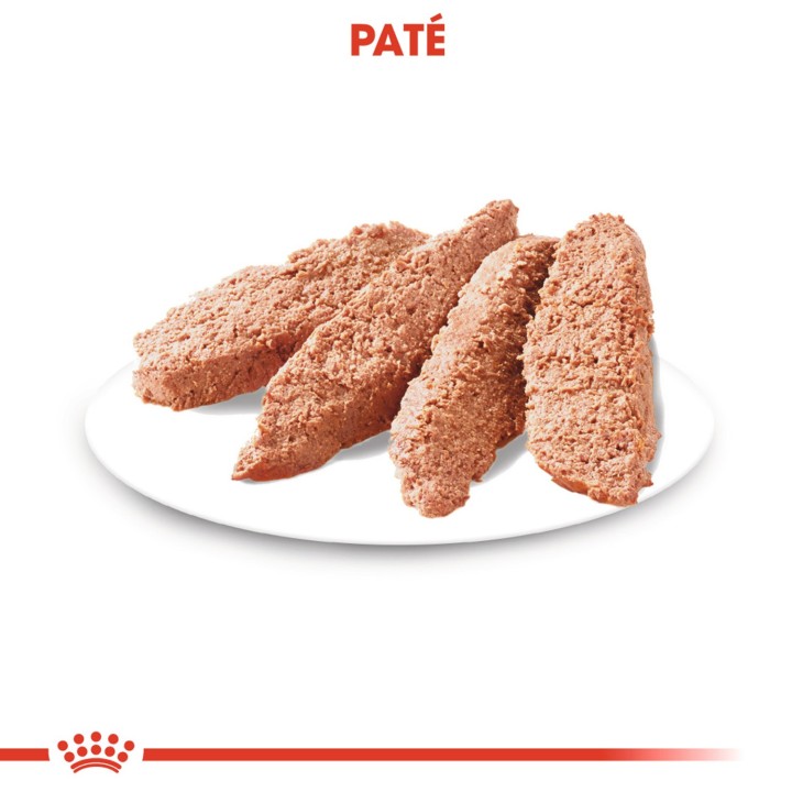 Royal Canin Digestive Care Pouch, comida húmeda para perros