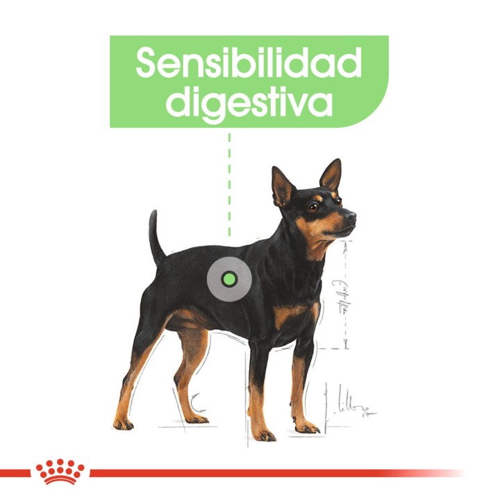 Royal Canin Digestive Care Pouch, comida húmeda para perros