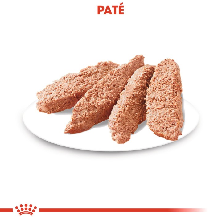 Royal Canin Exigent Pouch, comida húmeda para perros