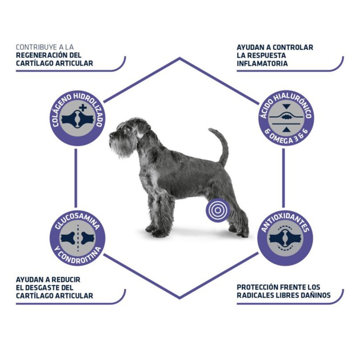 Advance Articular Stick, Snacks para perros, golosinas veterinarias