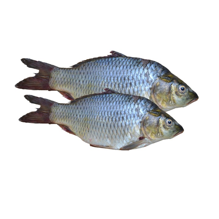 Ownat Classic Fish (dog), Pienso para perros - Kompymascotas