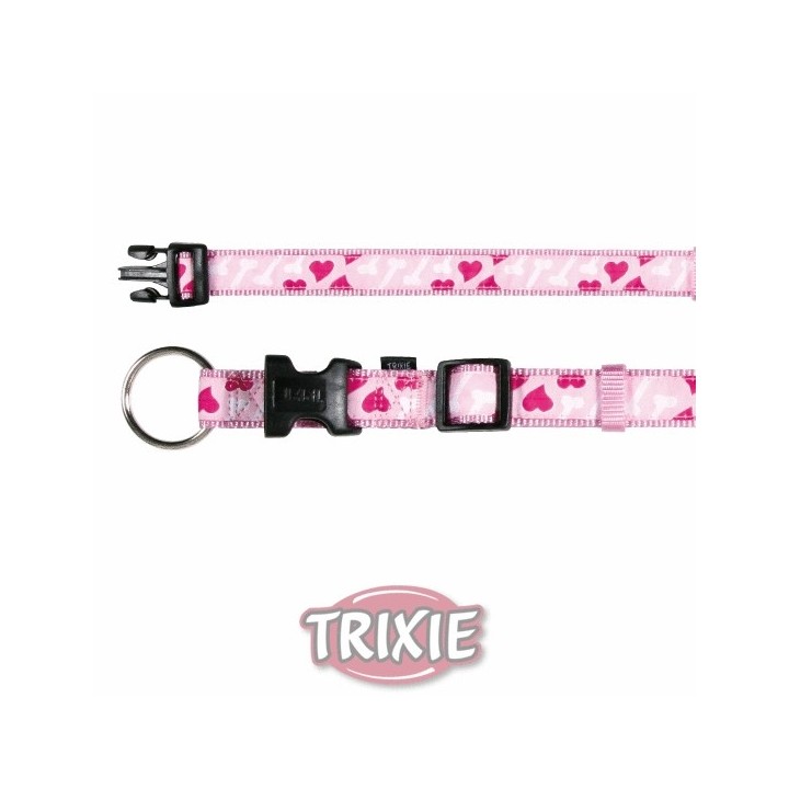 Collar Modern Art Rose Heart Rosa