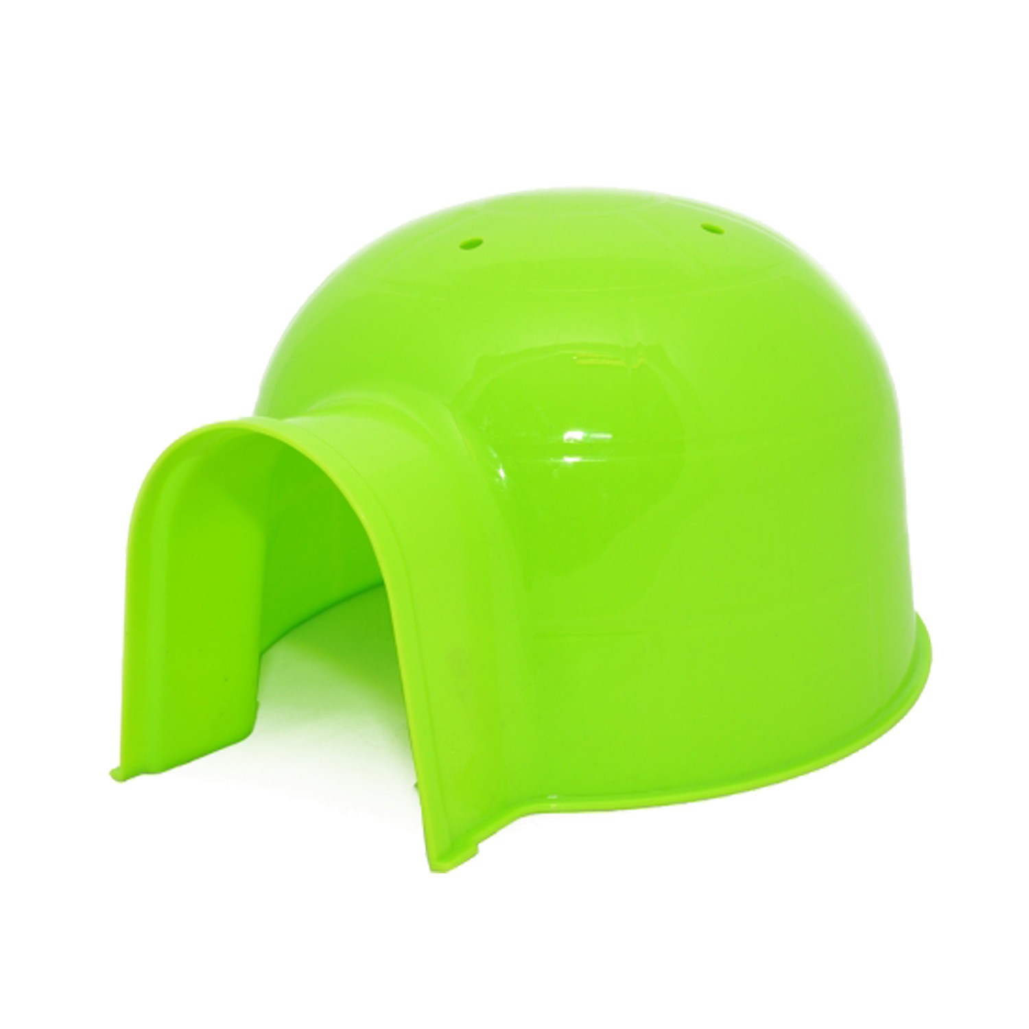 Hamster