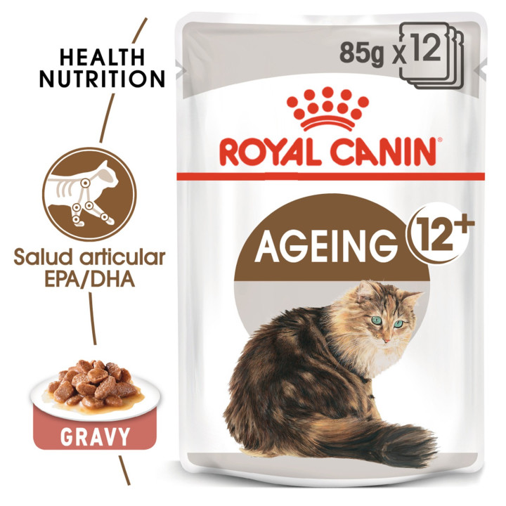Royal Canin Ageing +12, Comida húmeda  para gatos - Kompymascotas