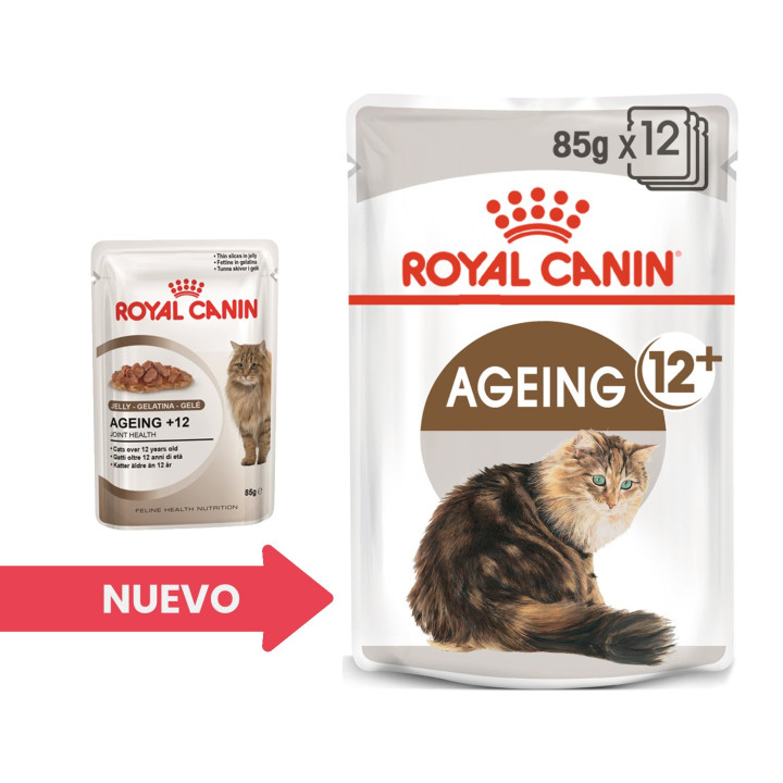 Royal Canin Ageing +12, Comida húmeda  para gatos - Kompymascotas