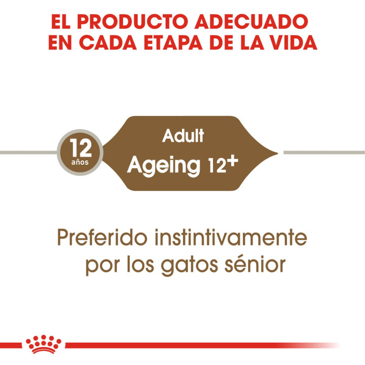 Royal Canin Ageing +12, Comida húmeda  para gatos - Kompymascotas