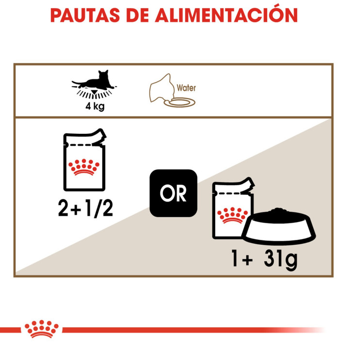 Royal Canin Ageing +12, Comida húmeda  para gatos - Kompymascotas