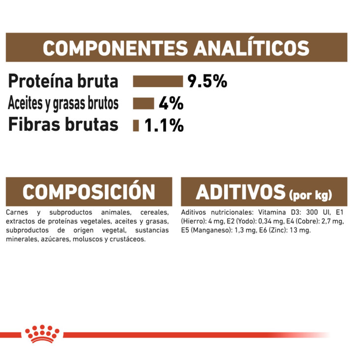 Royal Canin Ageing +12, Comida húmeda  para gatos - Kompymascotas