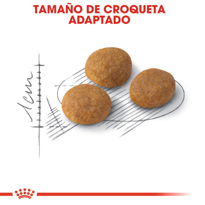 Royal Canin Feline Health Nutrition Exigent 33 para gato - Kompymascotas