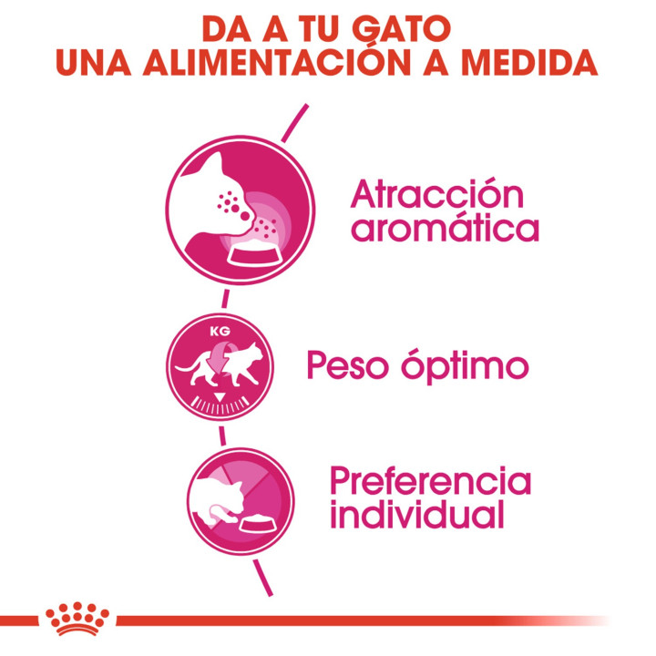 Royal Canin Feline Health Nutrition Exigent 33 para gato - Kompymascotas