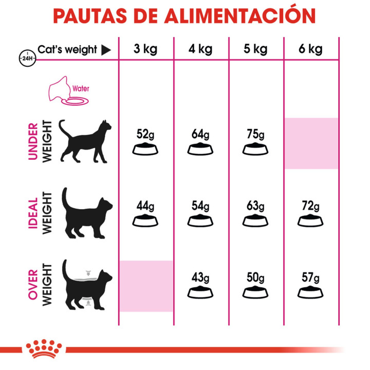 Royal Canin Feline Health Nutrition Exigent 33 para gato - Kompymascotas