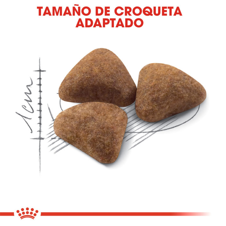 Royal Canin Feline Health Nutrition, pienso para gatos - Kompymascotas