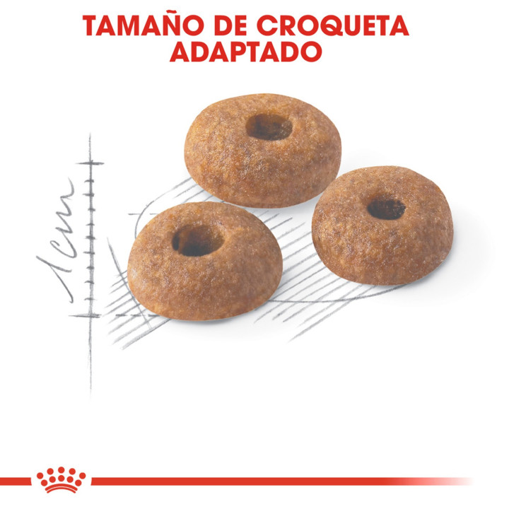 Royal Canin Feline Nutrition Fit 32, Pienso para gatos - Kompymascotas