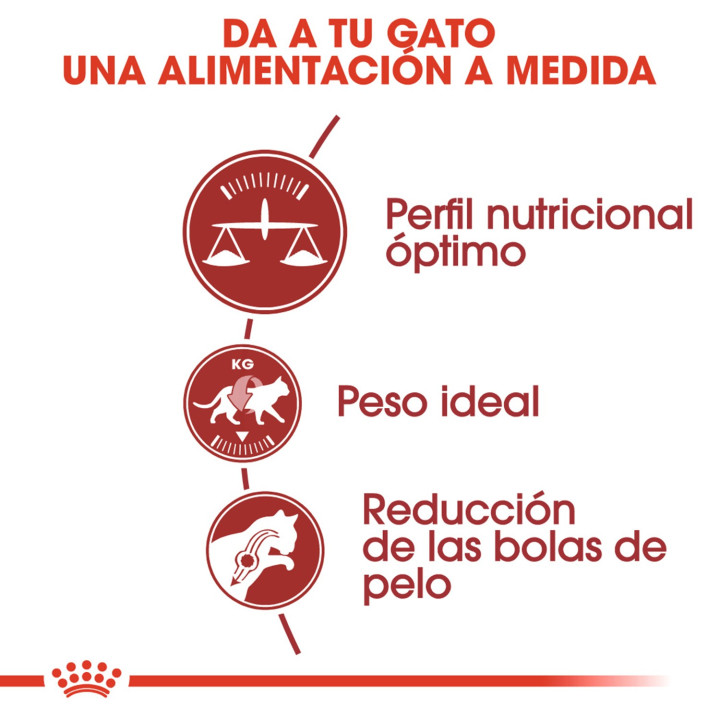 Royal Canin Feline Nutrition Fit 32, Pienso para gatos - Kompymascotas