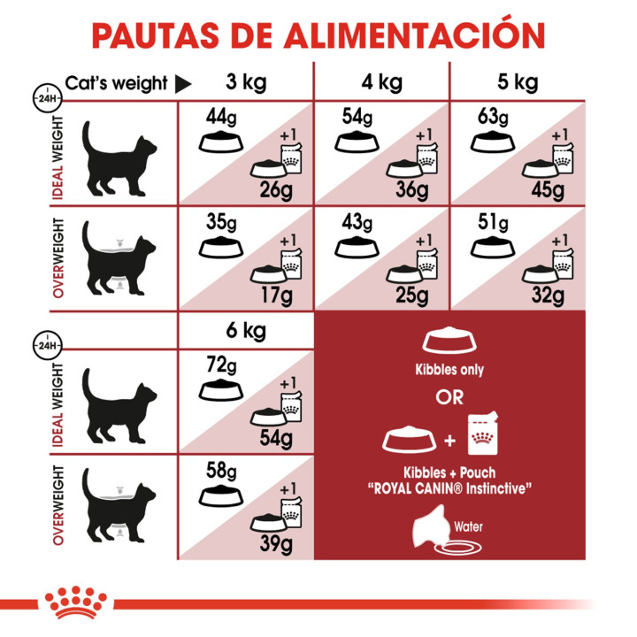Royal Canin Feline Nutrition Fit 32, Pienso para gatos - Kompymascotas