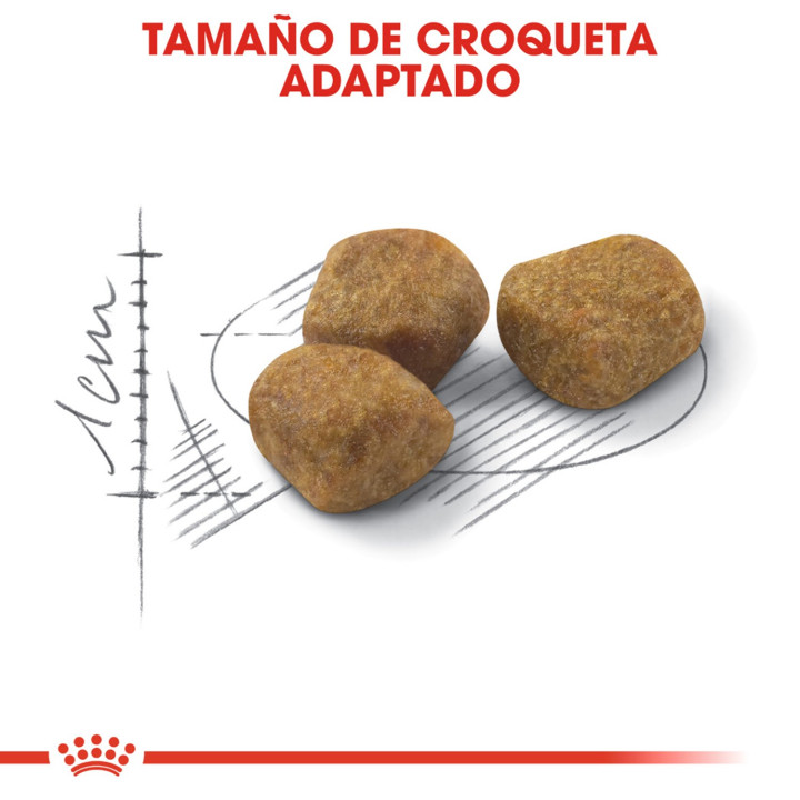 Royal Canin Indoor 7, pienso para gatos - Kompymascotas