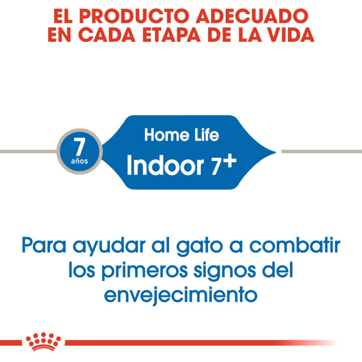 Royal Canin Indoor 7, pienso para gatos - Kompymascotas