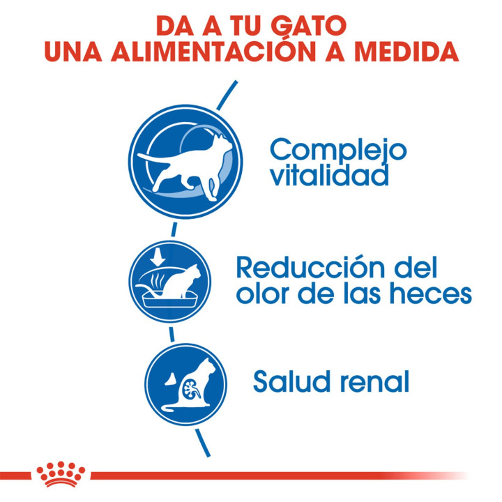 Royal Canin Indoor 7, pienso para gatos - Kompymascotas