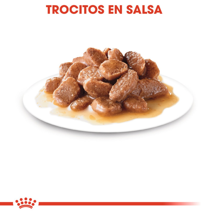 Royal Canin Instinctive +7, Comida húmeda  para gatos - Kompymascotas