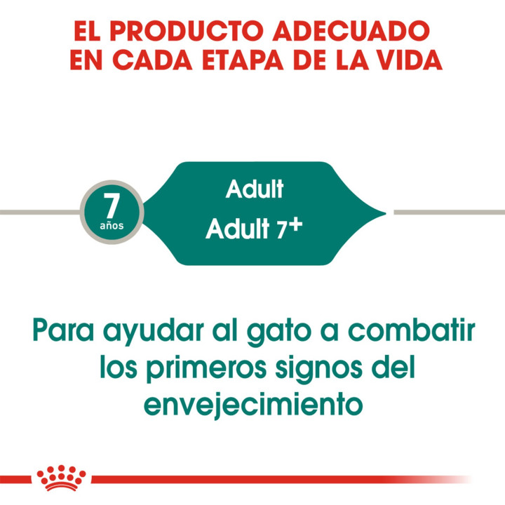 Royal Canin Instinctive +7, Comida húmeda  para gatos - Kompymascotas