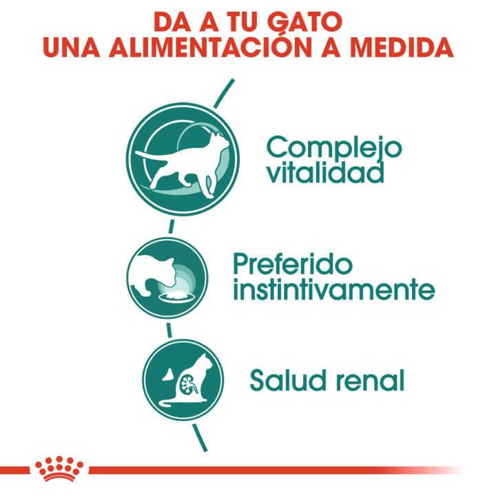 Royal Canin Instinctive +7, Comida húmeda  para gatos - Kompymascotas