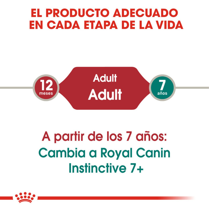 Royal Canin Instinctive - Paté, Latas, comida húmeda para gatos - Kompymascotas