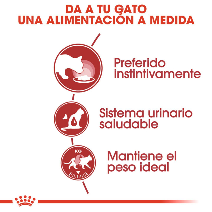 Royal Canin Instinctive - Paté, Latas, comida húmeda para gatos - Kompymascotas