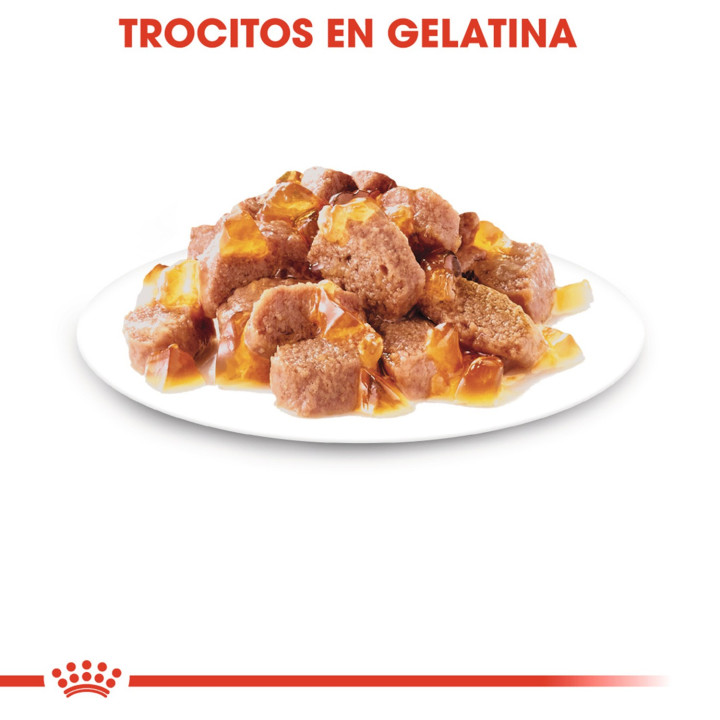 Comida Húmeda Royal Canin Instinctive - Jelly para gatos +- Pinesoymascotas