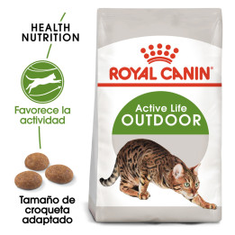 Royal Canin Feline Outdoor 30, Pienso para gatos - Kompymascotas